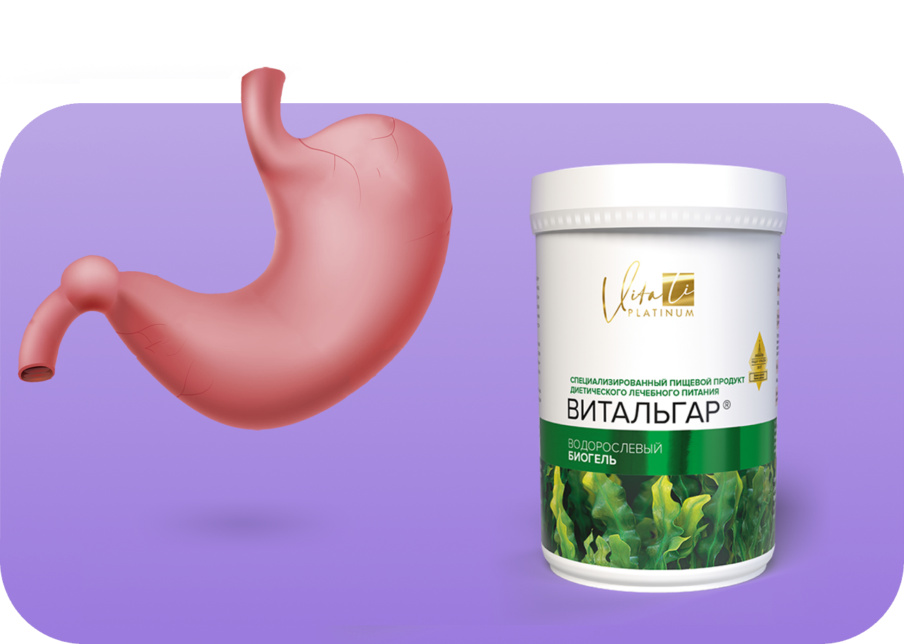ЗДОРОВЫЙ ЖЕЛУДОК И КИШЕЧНИК